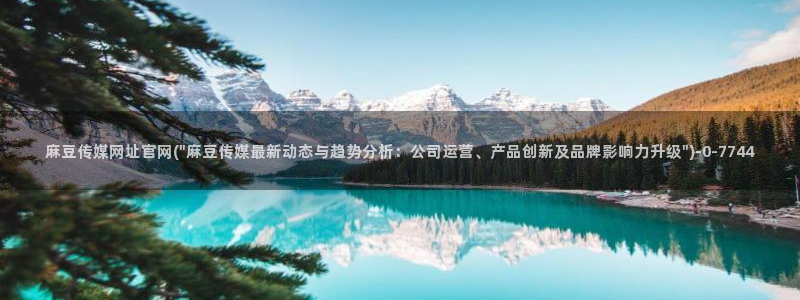 麻豆视频盘点