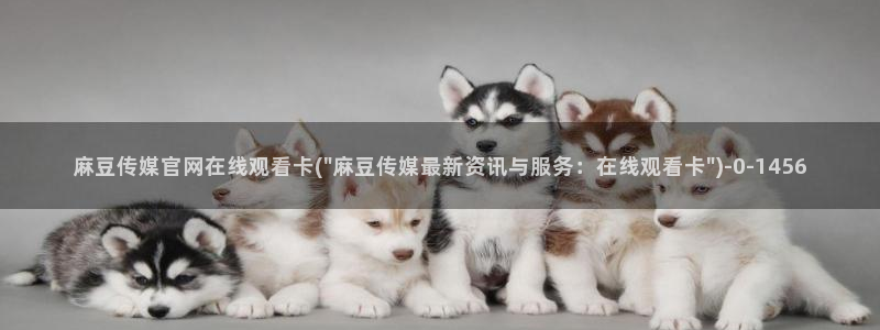 麻豆视频栏目规划