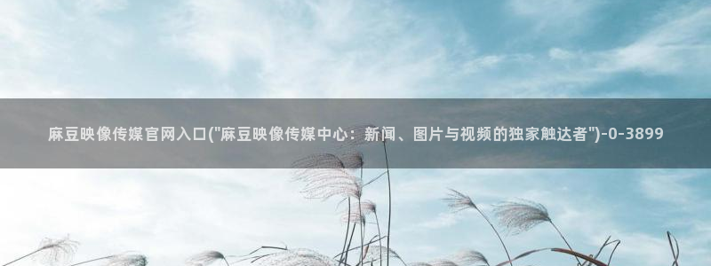 麻豆演员资料