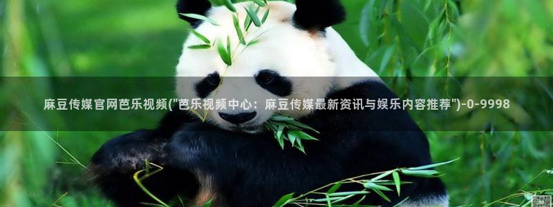 麻豆高口碑视频