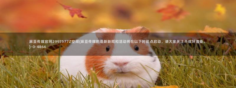 麻豆视频长尾词