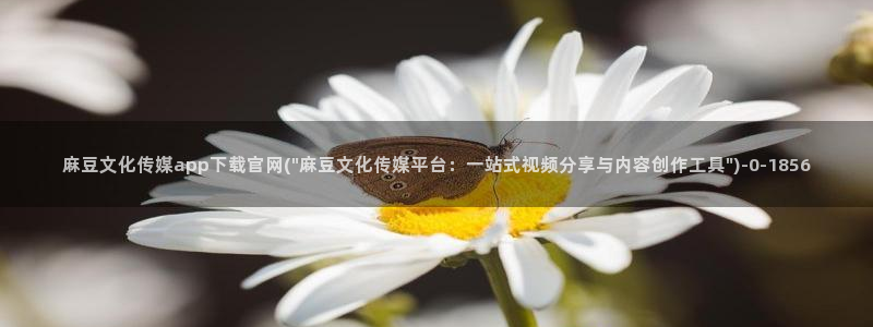 麻豆在线视频