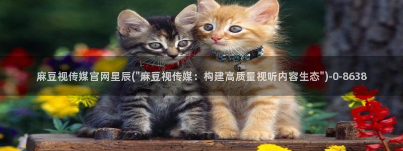 麻豆影视推荐