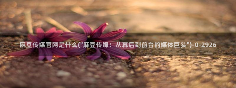 麻豆影视合集