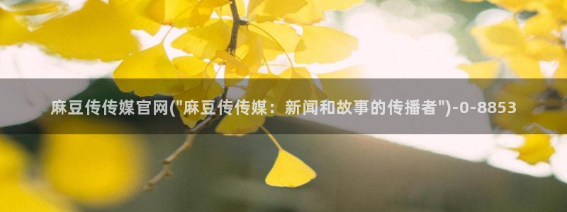 麻豆剧情解析