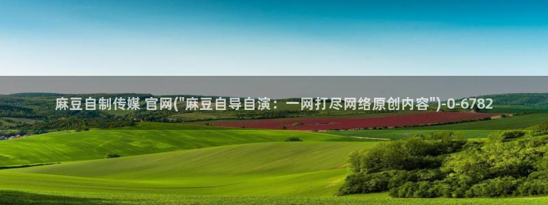 麻豆标题优化
