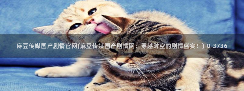 麻豆标题优化