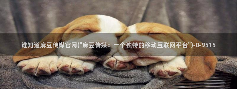 麻豆高清视频