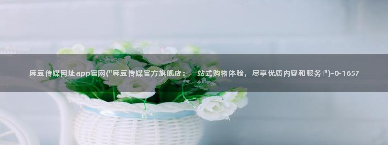 麻豆资源站模板