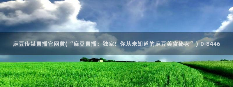 麻豆幕后花絮