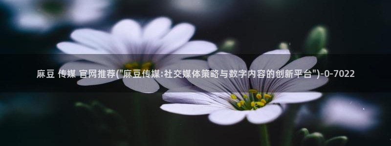 麻豆剧情描述