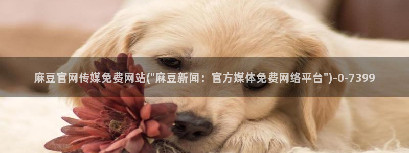 麻豆精选描述