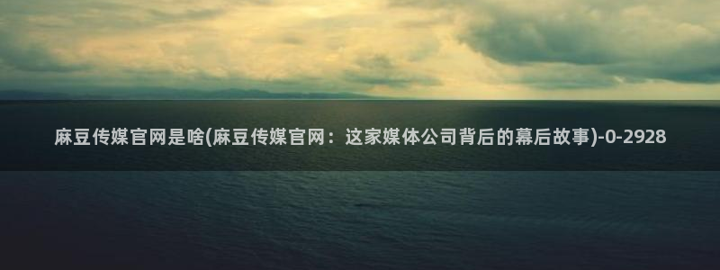 麻豆视频页面描述