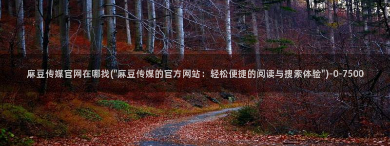 麻豆榜单标题