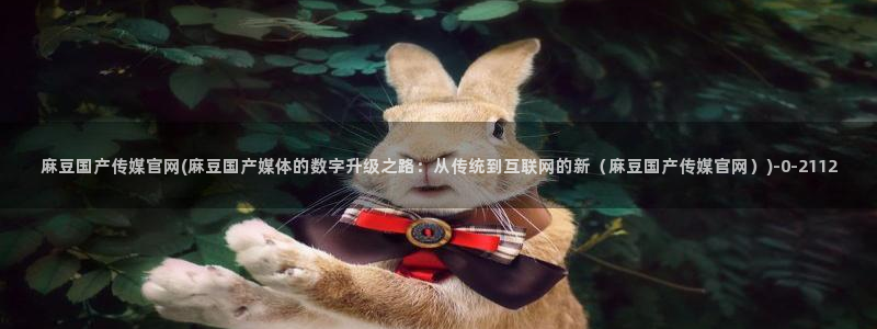 麻豆视频原创文案