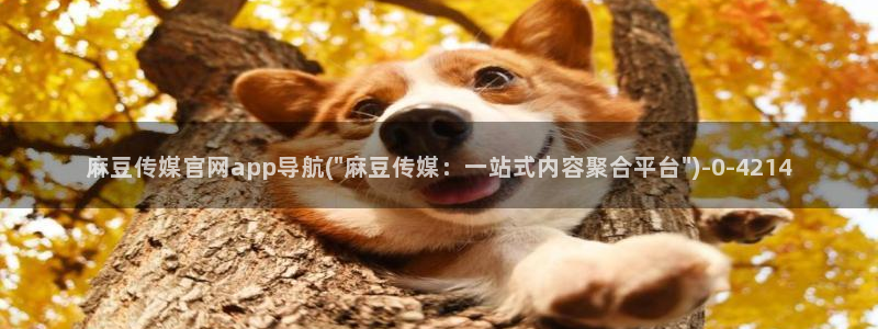 麻豆视频页面描述：麻豆传媒官网app导航(\