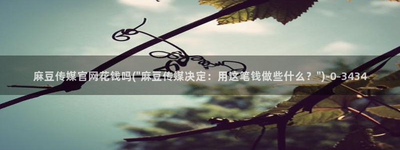 麻豆视频合集