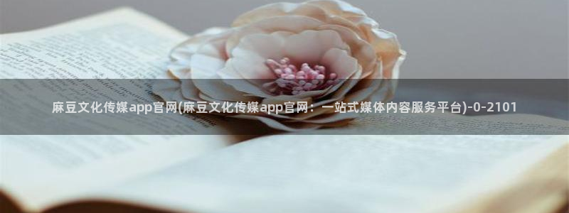 麻豆视频相关推荐